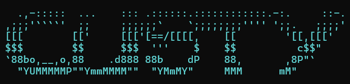 Custy terminal banner and Git workflow output
